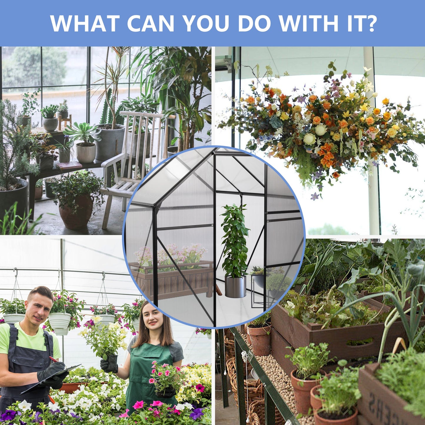 6X6FT Black Polycarbonate Greenhouse