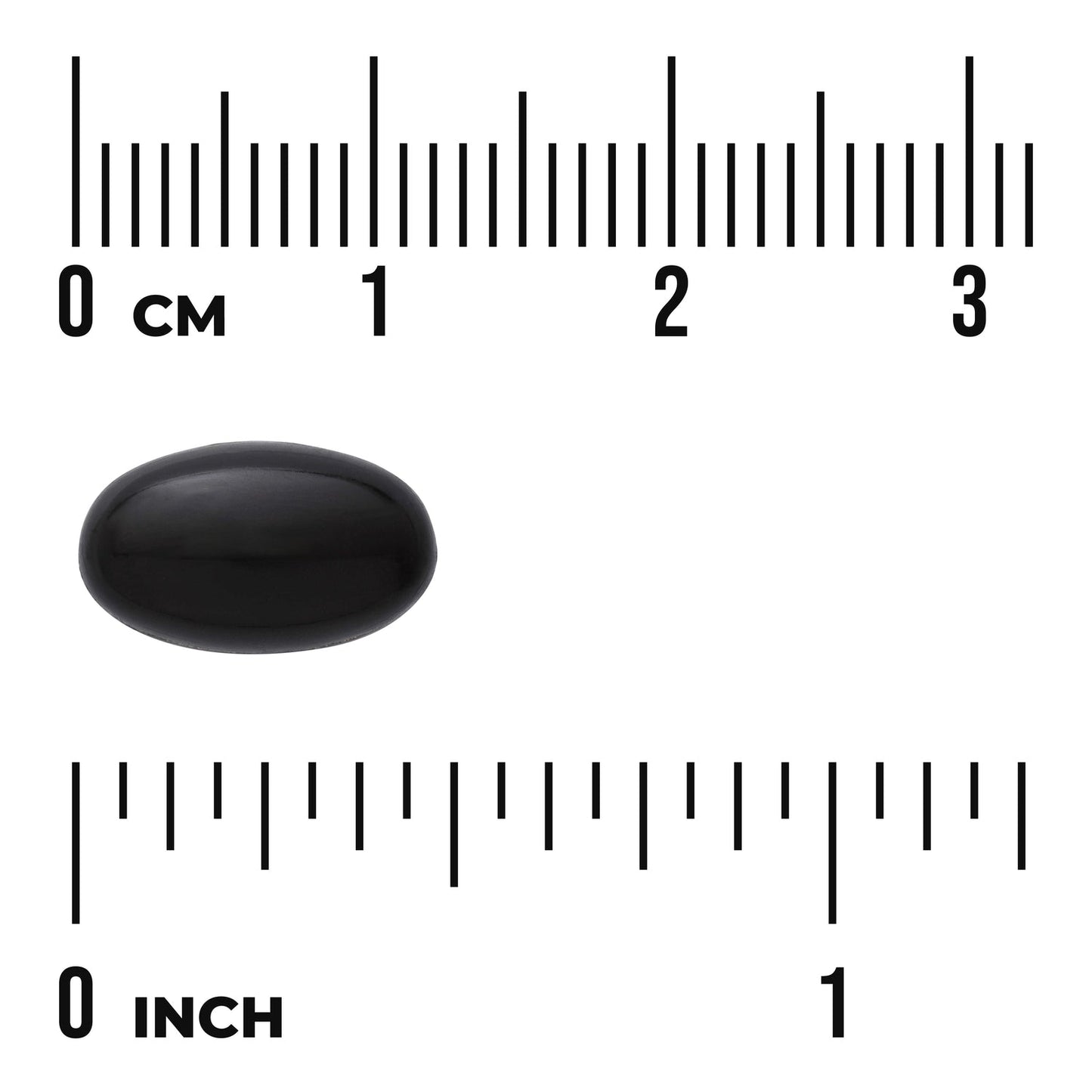 Green Lipped Mussel