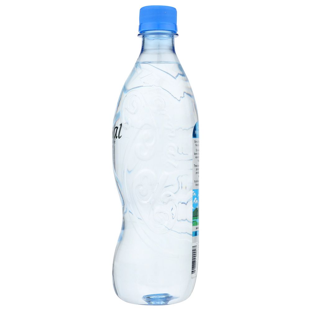 ETERNAL: Artesian Naturally Alkaline Water, 20.2 oz
