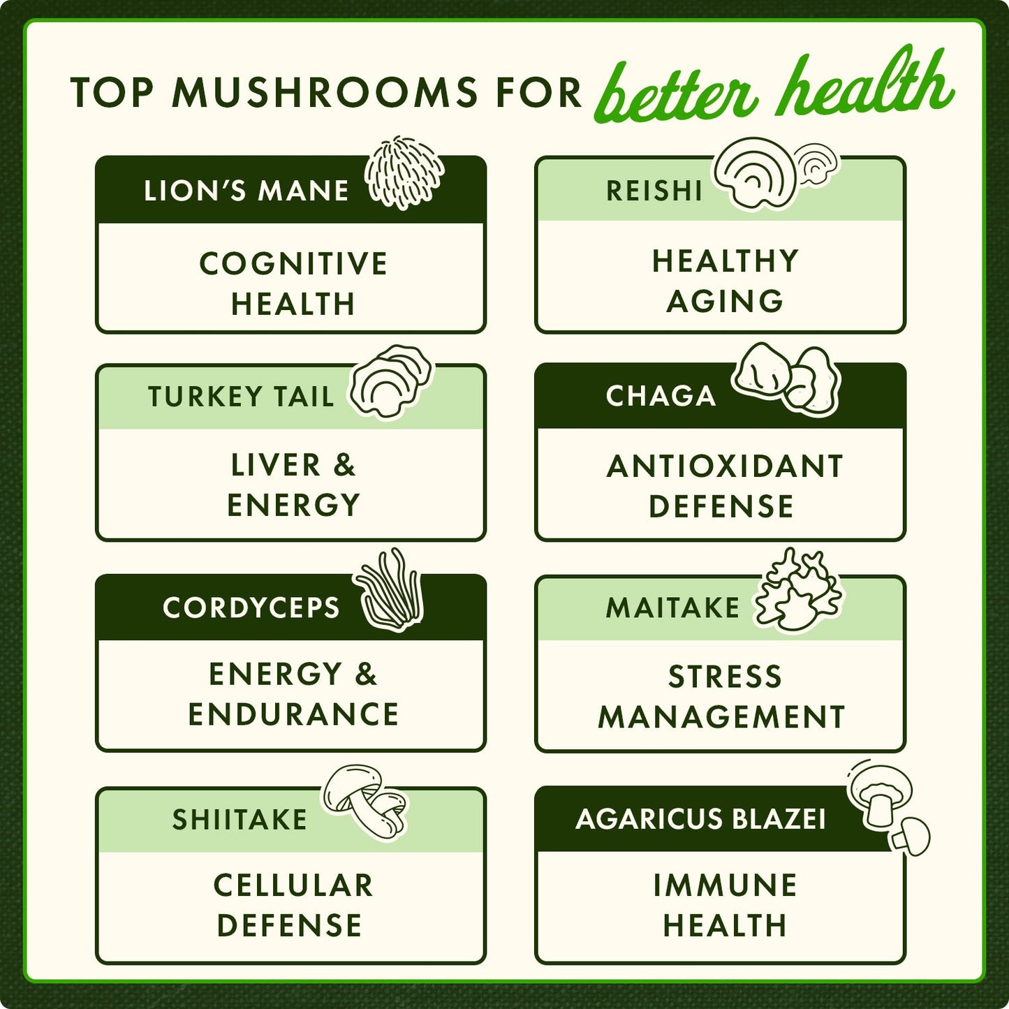 Full Spectrum Reishi Mushroom