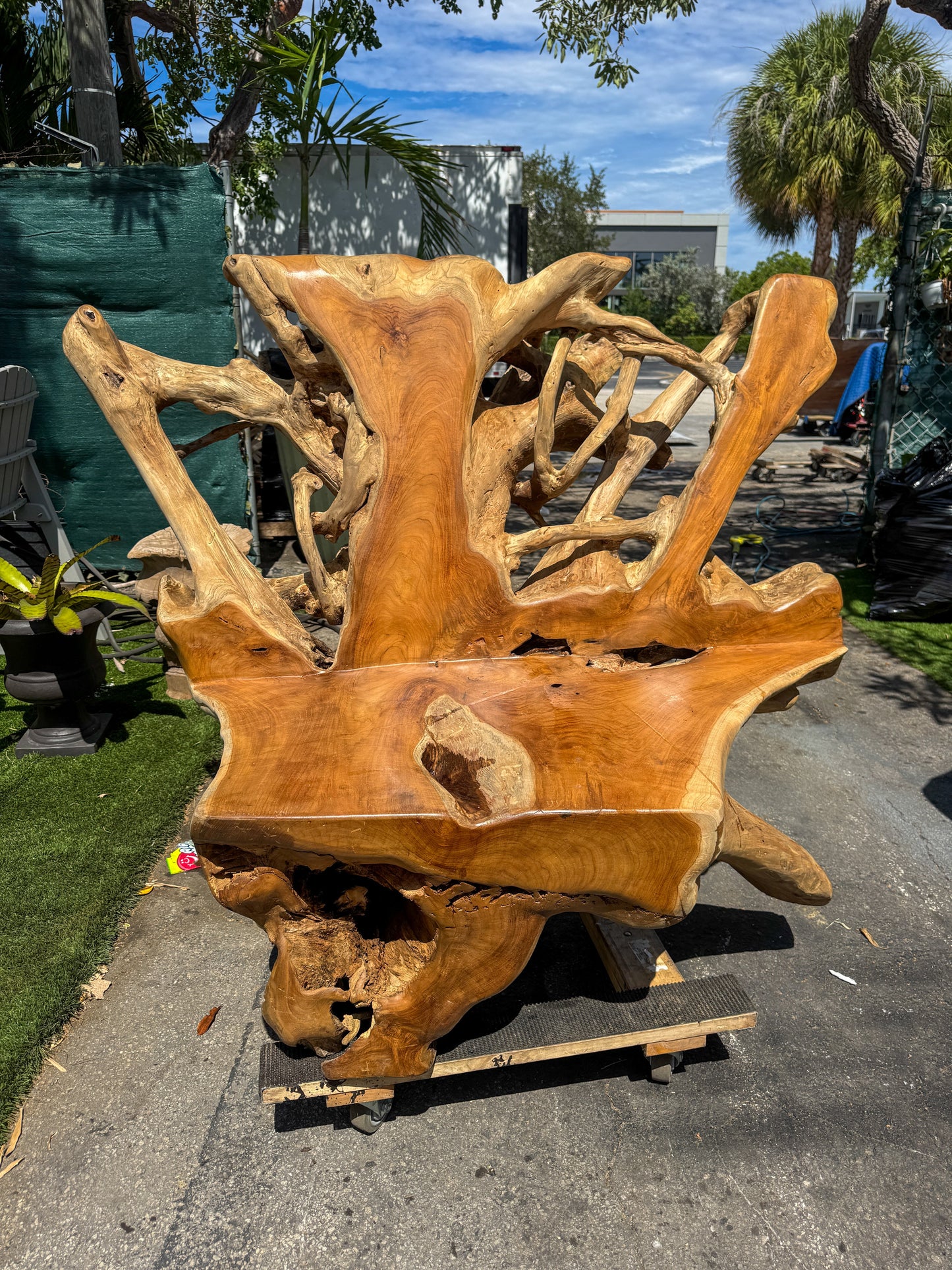 ORGANIC TEAK ROOT SOFA XXL