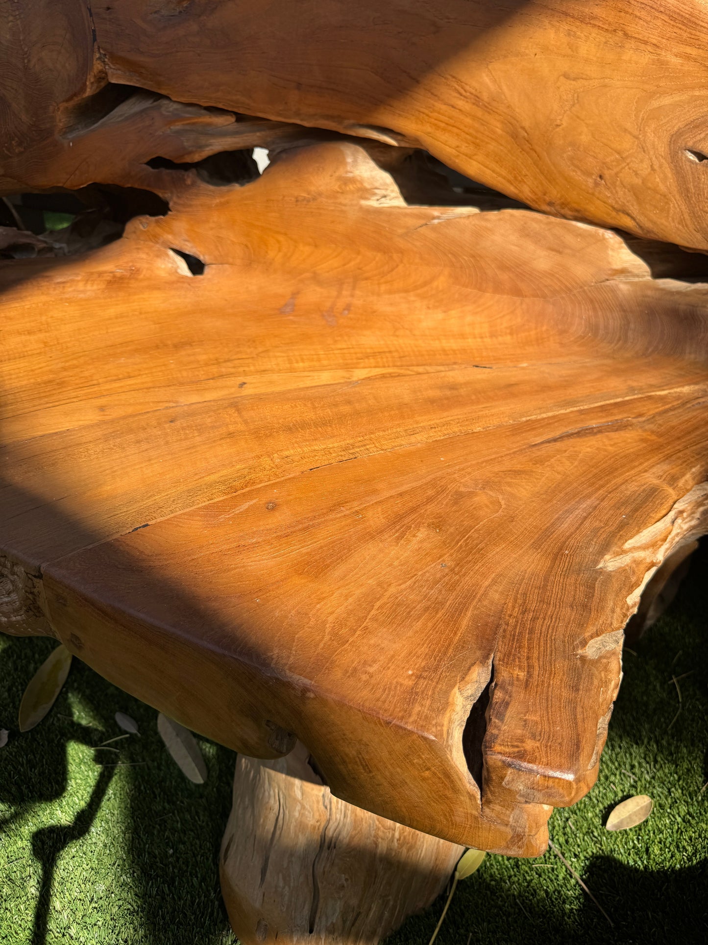 Teak Root Sofa XXL (A)