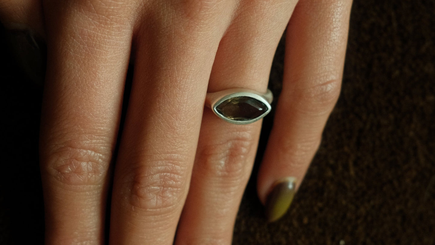 Orbit ring