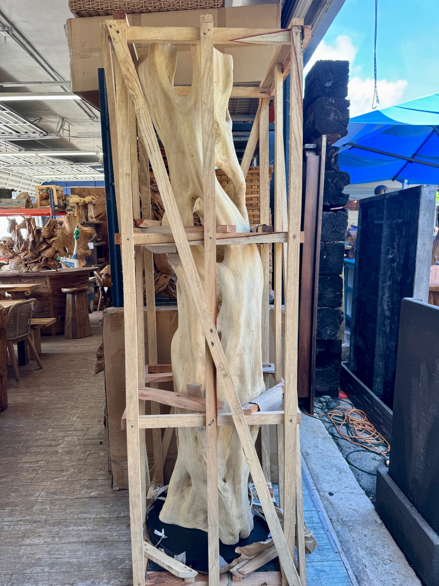 Bleached Banyan Deco On Stand XXL (A)