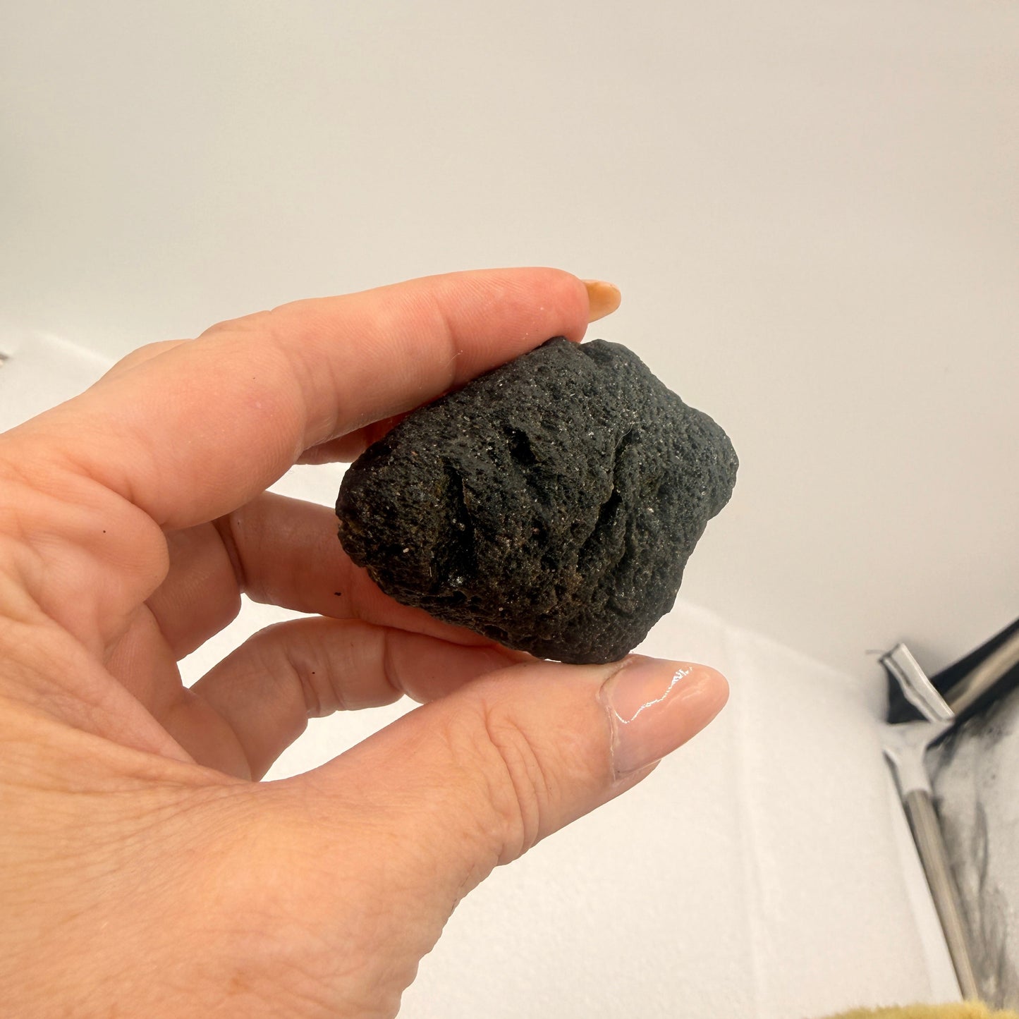 Tektite Rough Large Palm Stone Size Specimen