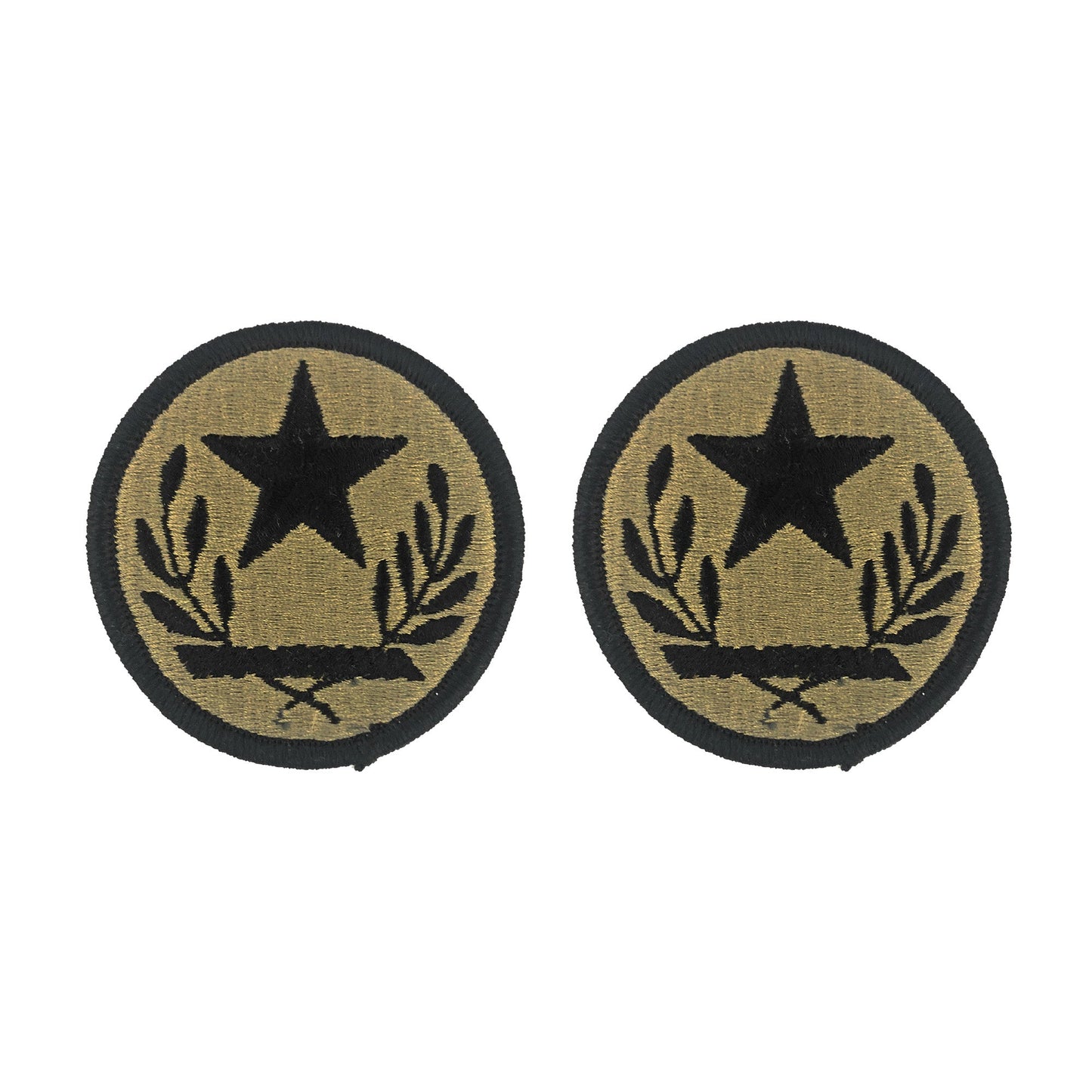 U.S. Army Texas Army National Guard OCP Patch w/Hook Fastener (prs)