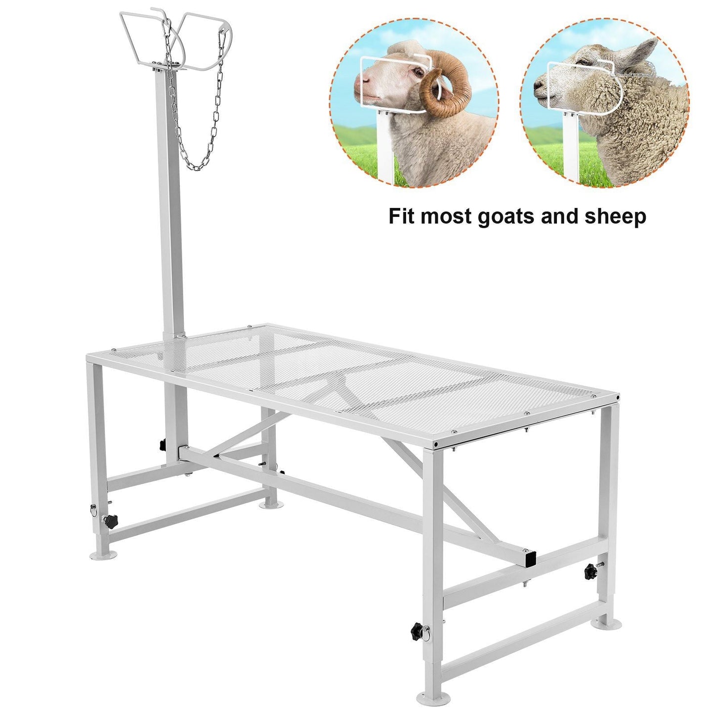 Goat & Sheep Stand, 51x23 inch Livestock Stand, Metal Livestock Milking and Shearing Stand 21" to 33" Adjustable Height, with Headpiece and Nose Loop, 500lbs Loading Weight, White