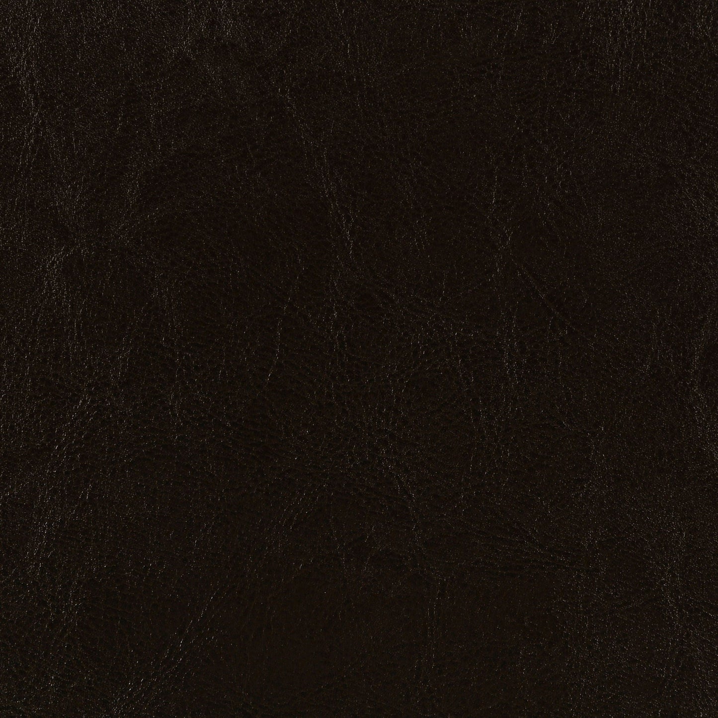Dorian Faux Leather Upholstered Twin Panel Bed Brown