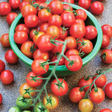 Tomato Red Cherry Seeds – 100mg for Planting, Heirloom Variety, Sweet & Juicy, High Yield, Great for Salads Snacking, Garden Containers