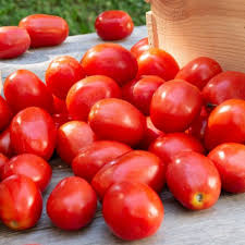100 Heirloom Tomato Mix Seeds โ Colorful Open-Pollinated Varieties | Lycopersicon esculentum | Non-GMO | Bright & Flavorful