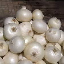 Onion Blanco Duro Seeds – 250mg for Planting, White Bulb Variety, Crisp Texture, High Yield, Great for Cooking, Salads & Storage