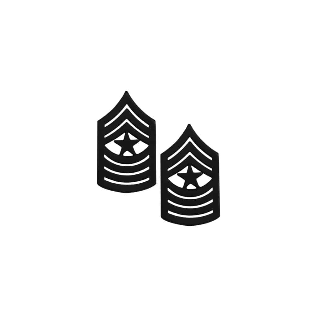 U.S. Marine Corps Sergeant Major Subdued Metal Pin On Rank
