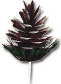 2.5" Pine Cone Picks - 36 count