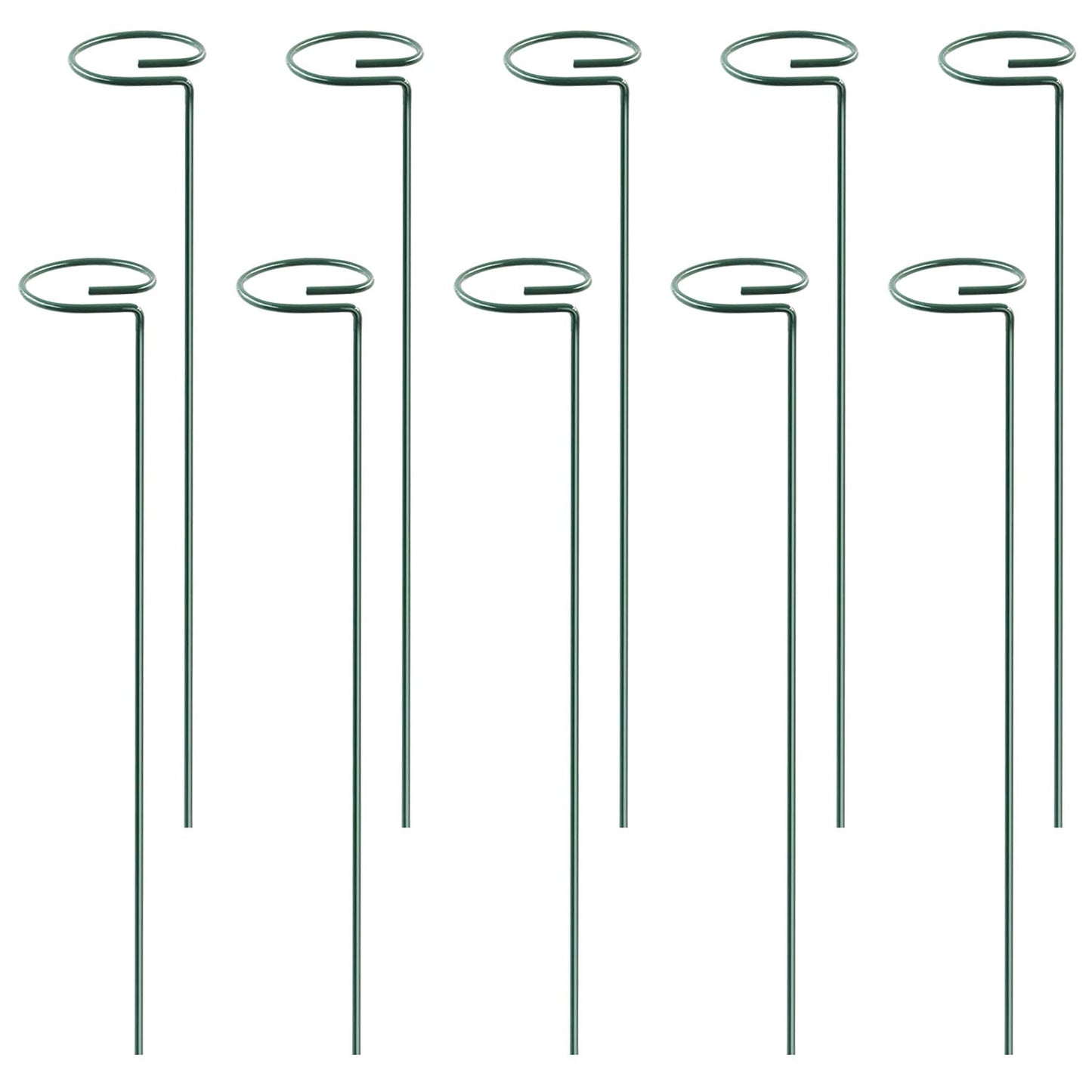 Garden Plant Support Stakes for Single Stem