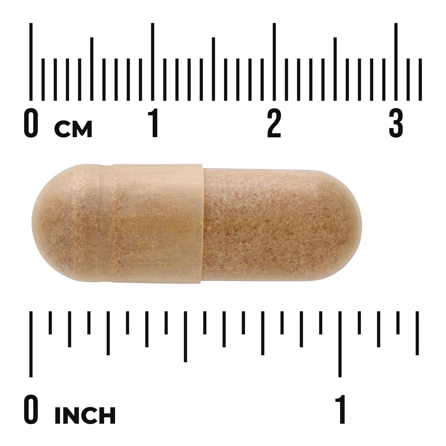 Ginkgo Biloba Extract - Standardized