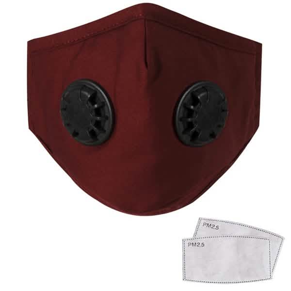 10枚セット：ダブル呼吸弁PM2.5マスク呼吸器