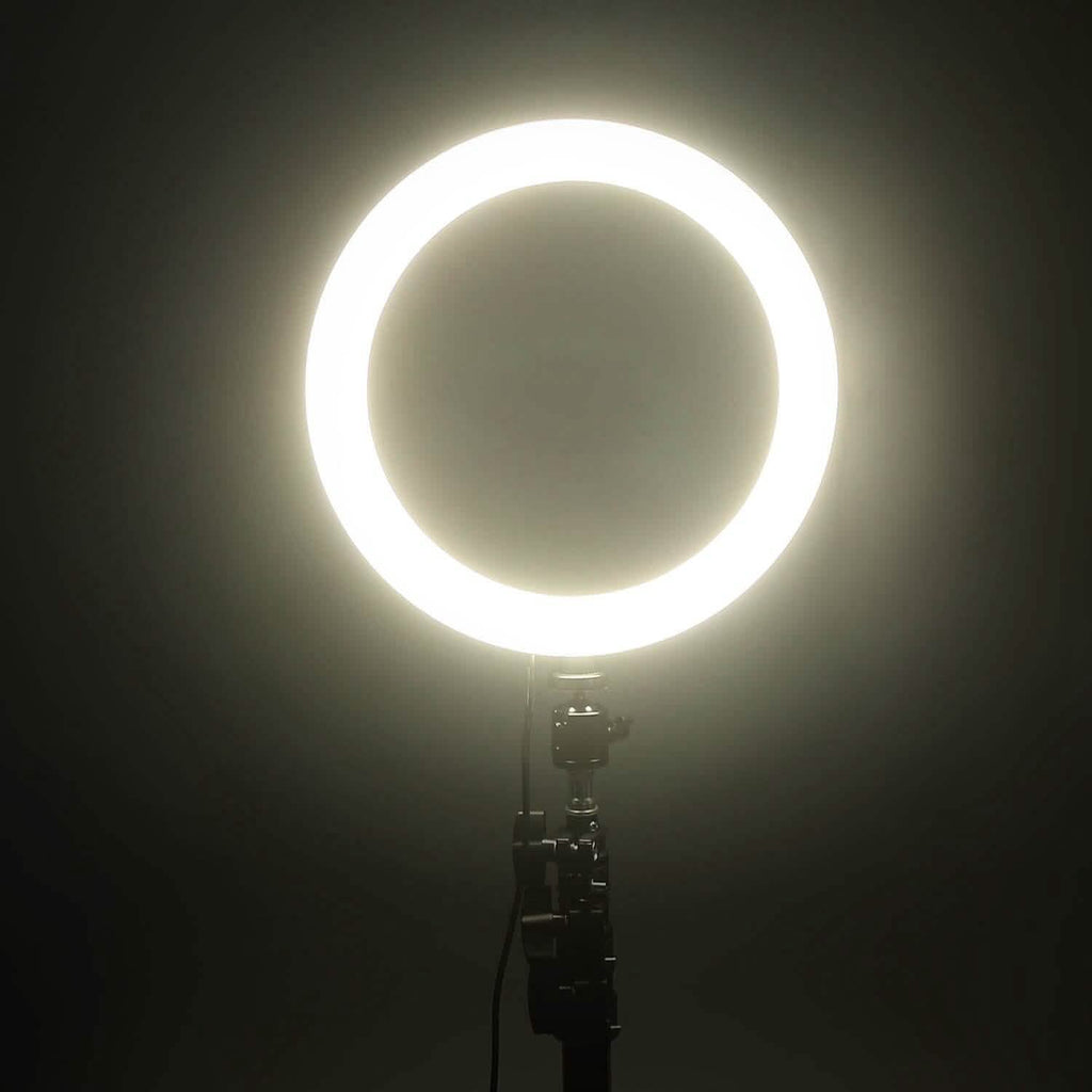 Anneau lumineux de 10 pouces avec 120 LED pour selfies