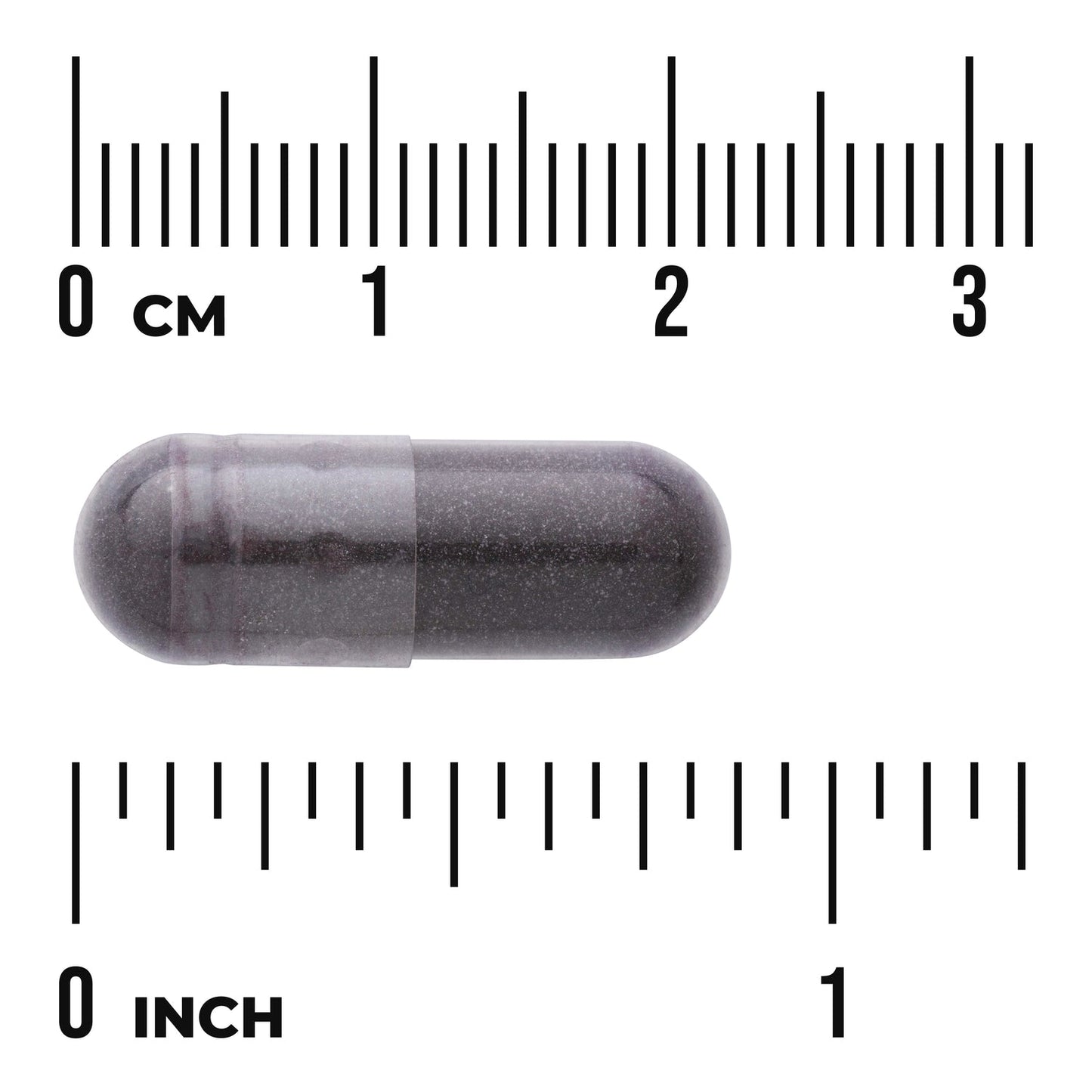 Black Currant Extract