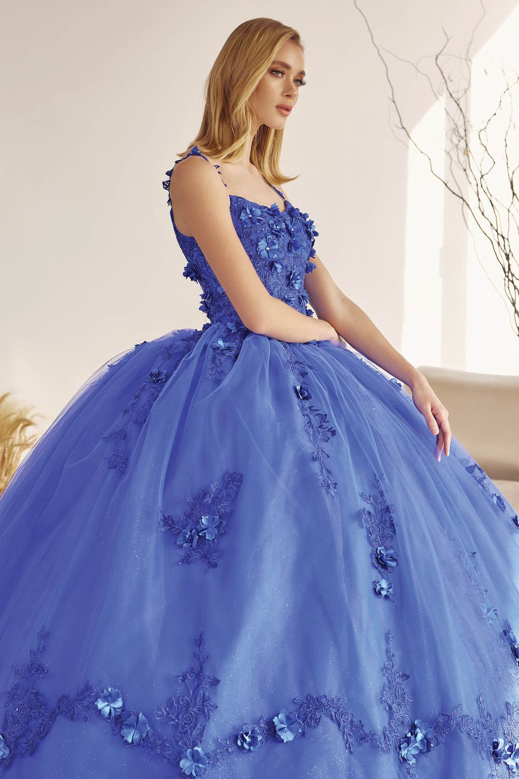 Juliet 1436 A-Line Ball Quinceanera Poofy Gown