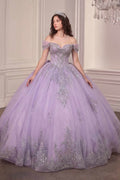 Ladivine 15730 Glitter Tulle Embroidered Lace Applique Sweet 16 Gown