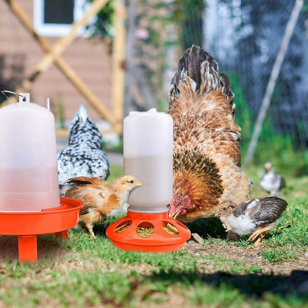 Lot mangeoire et abreuvoir pour poulets 1,5 L à hauteur réglable