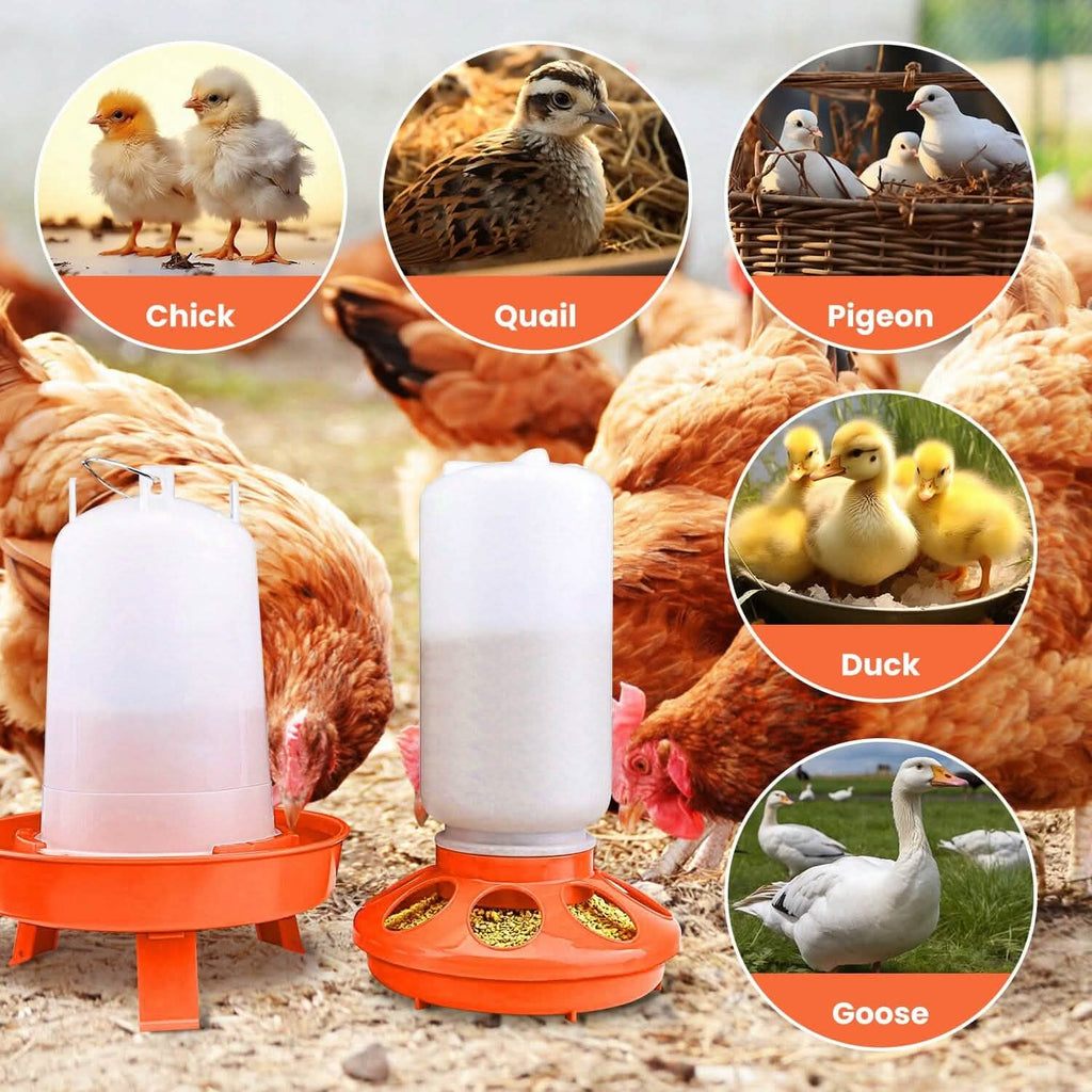 Lot mangeoire et abreuvoir pour poulets 1,5 L à hauteur réglable