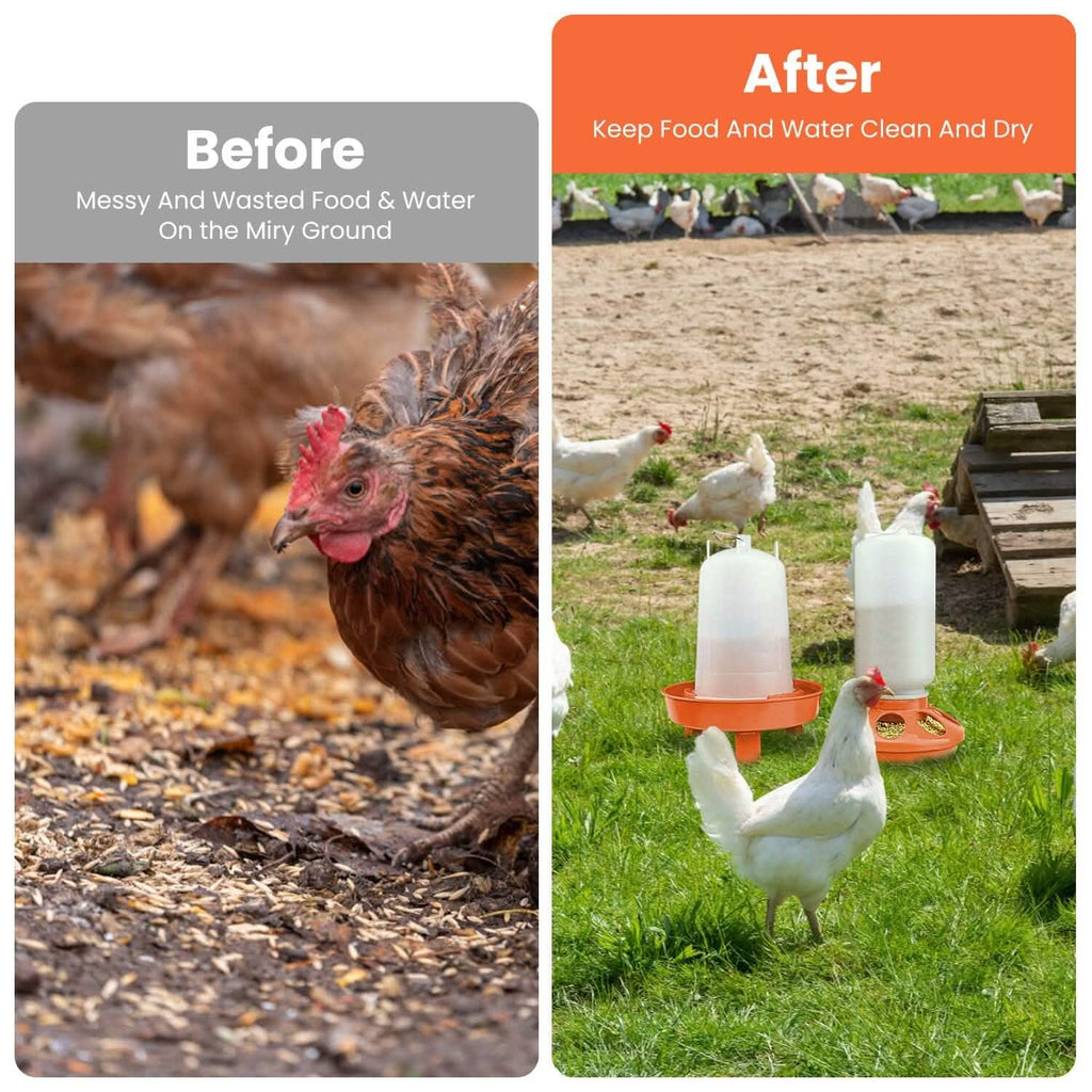 Lot mangeoire et abreuvoir pour poulets 1,5 L à hauteur réglable