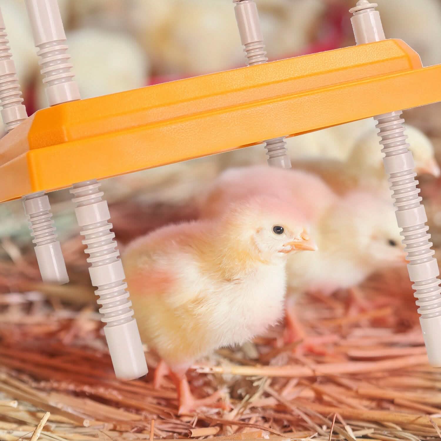 15W鶏用保温ヒーター 高さ角度調節可能 最大131℉