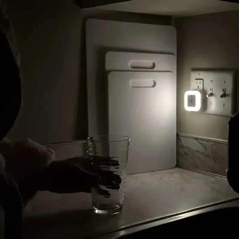 2-Pack: LED Night Light, Plug-in Wall Sconce with Auto Dusk to Dawn Sensor