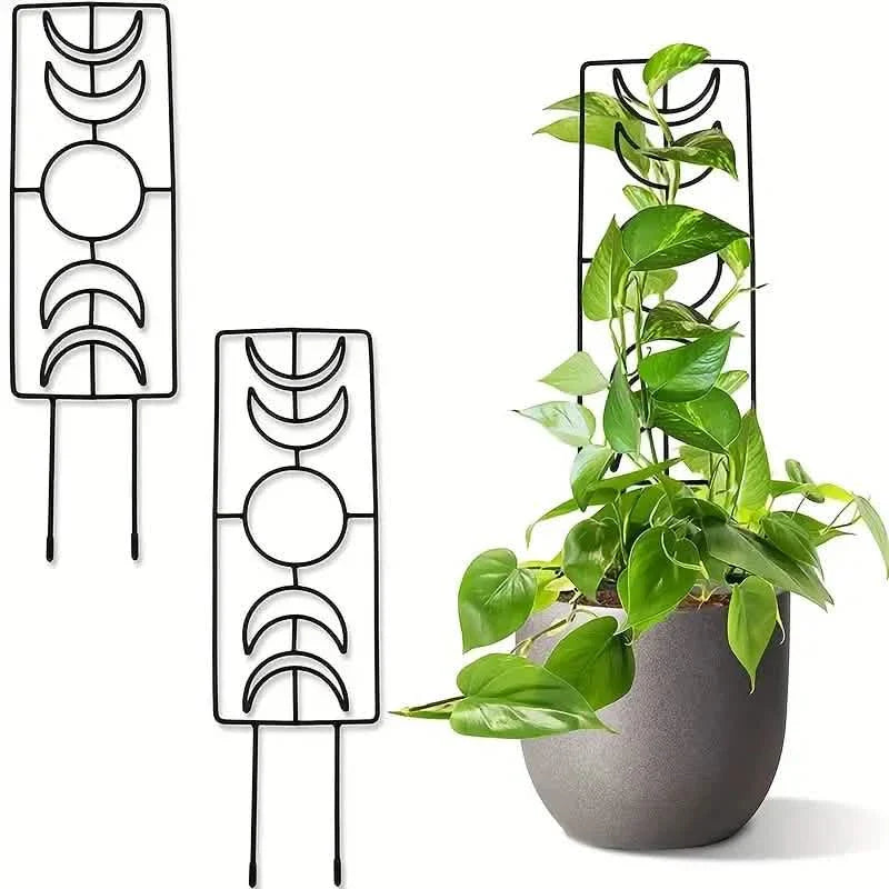 Lot de 2 : treillis métallique pour plantes grimpantes d'intérieur