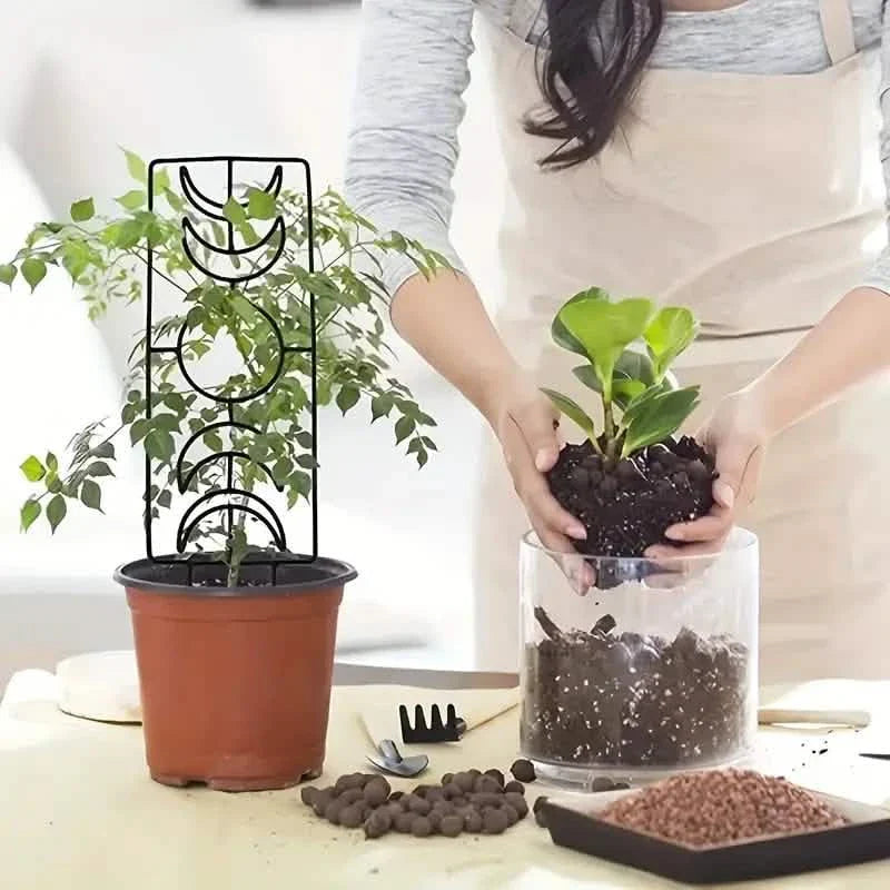 Lot de 2 : treillis métallique pour plantes grimpantes d'intérieur