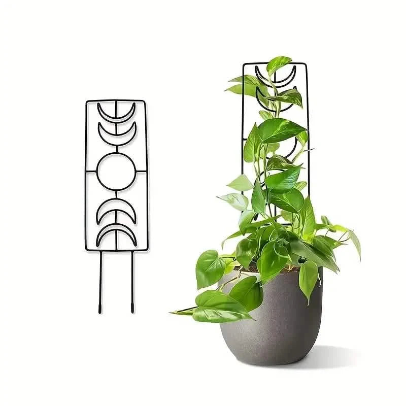 Lot de 2 : treillis métallique pour plantes grimpantes d'intérieur