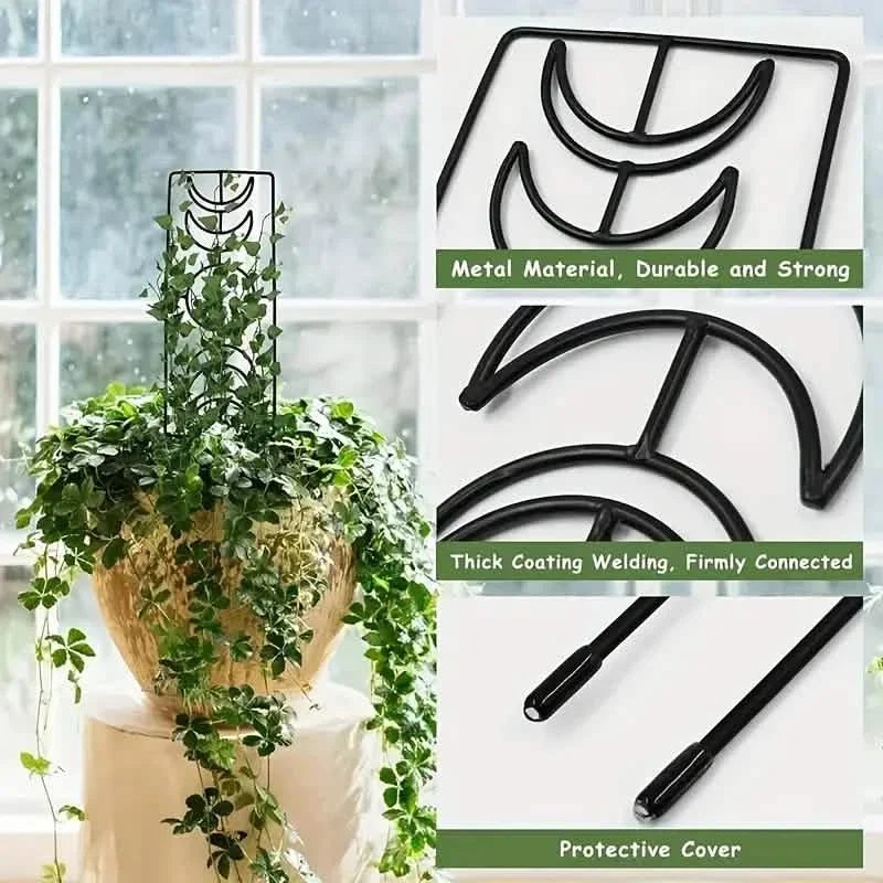 Lot de 2 : treillis métallique pour plantes grimpantes d'intérieur