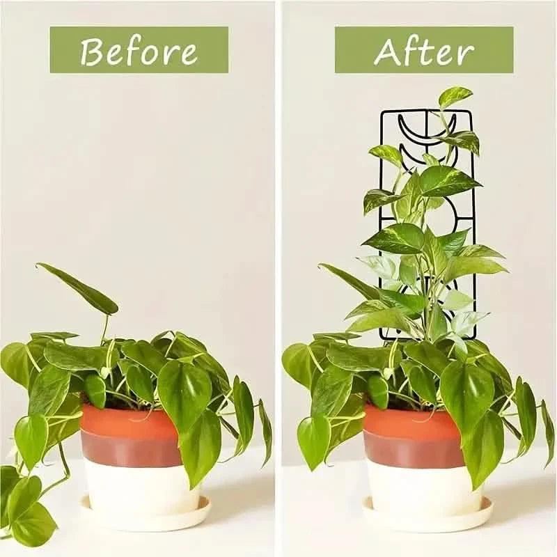 Lot de 2 : treillis métallique pour plantes grimpantes d'intérieur