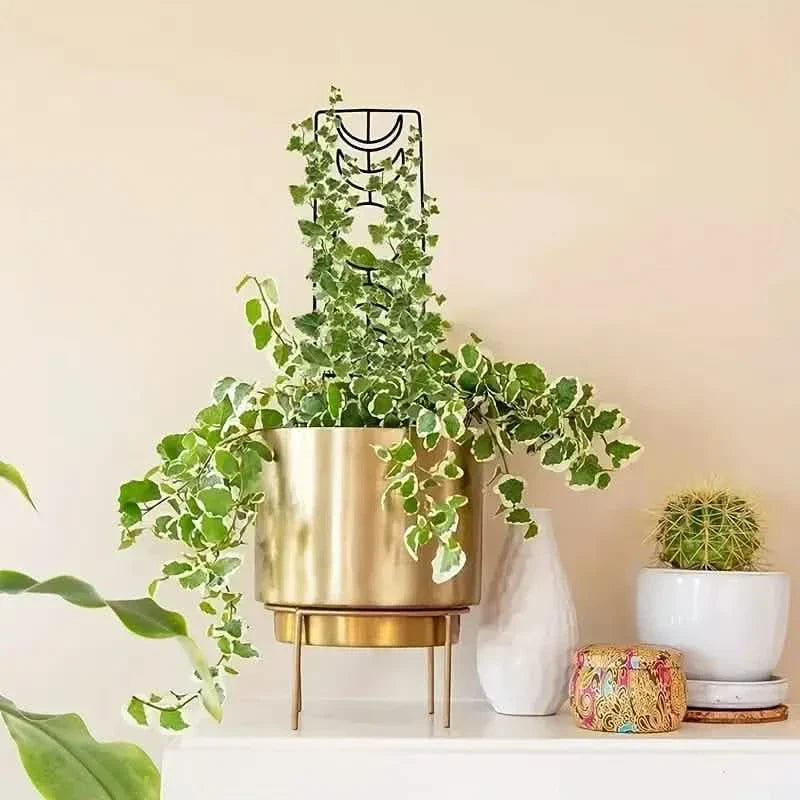 Lot de 2 : treillis métallique pour plantes grimpantes d'intérieur
