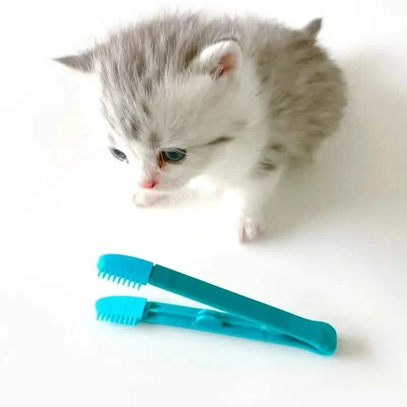 Lot de 2 : brosse-peigne pour animaux de compagnie, peigne anti-taches lacrymales, outils de toilettage et de nettoyage