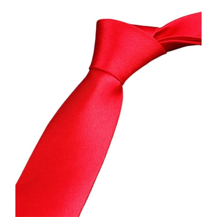 2-Pack: Solid Colored Pure Color Neck Ties