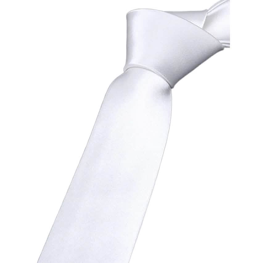 2-Pack: Solid Colored Pure Color Neck Ties
