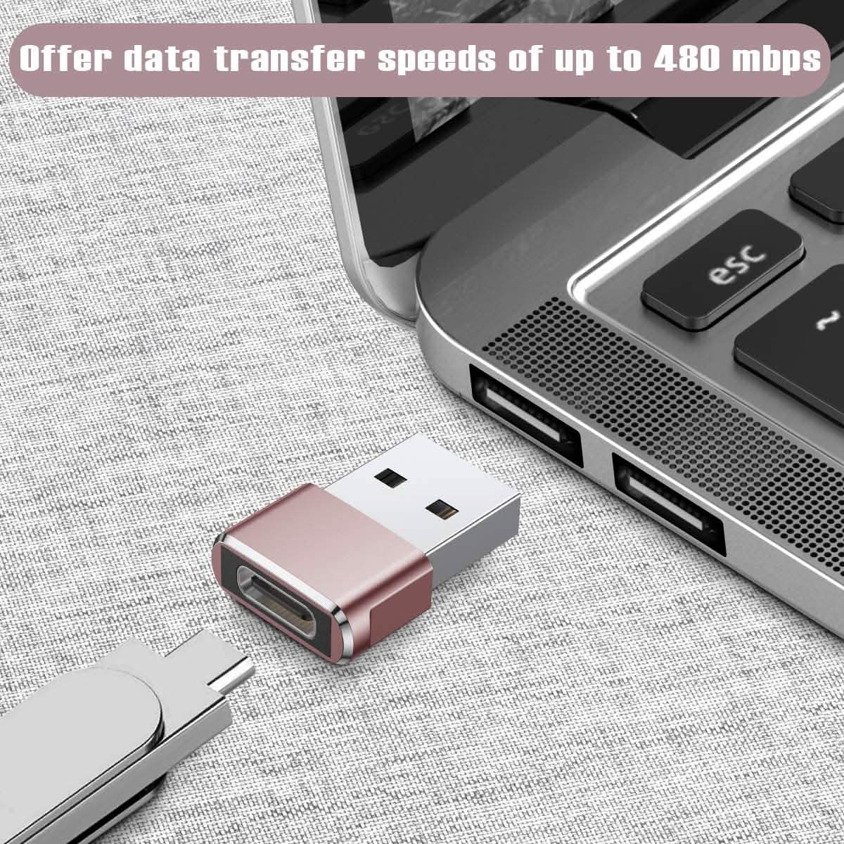 2-Pack: USB C Female to USB Male Adapter