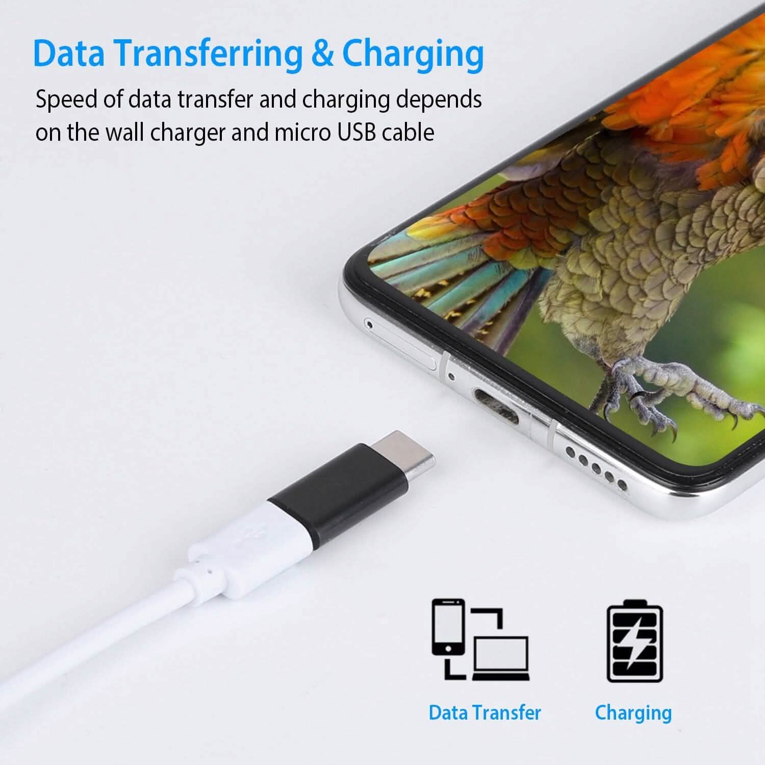 Lot de 2 : adaptateur Micro USB vers Type C