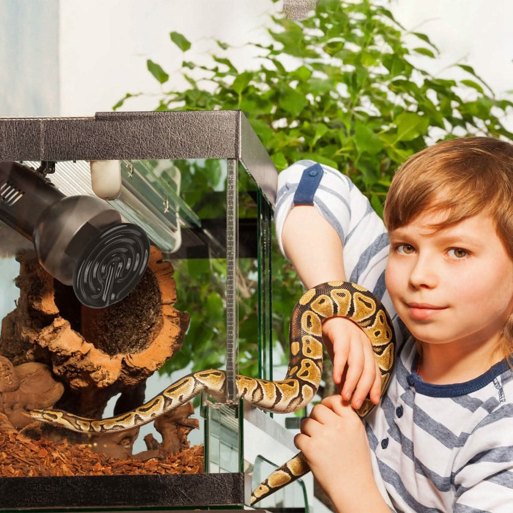 Lot de 2 : Lampe chauffante infrarouge pour reptile 150 W sans émission de lumière