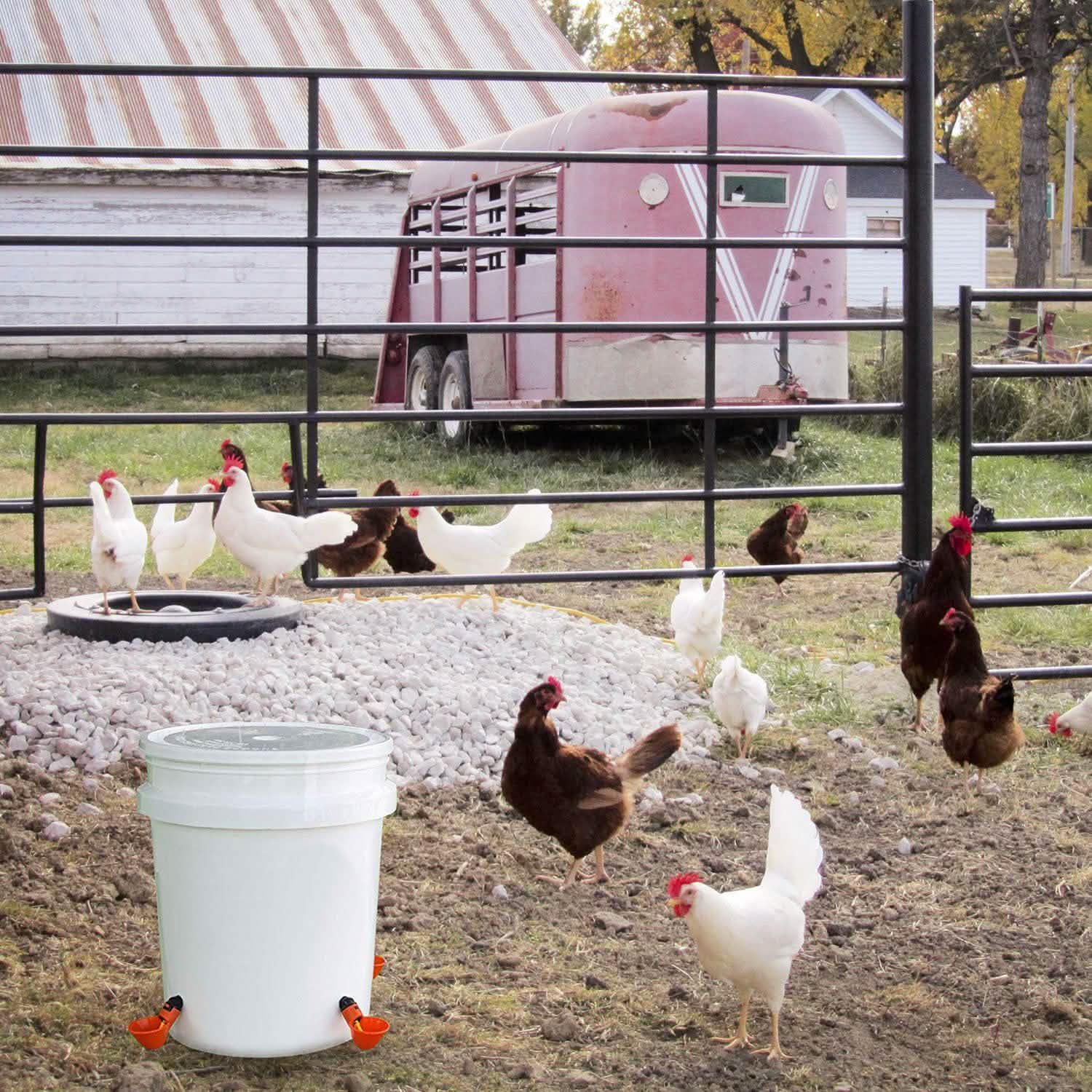 20-Pack: Chicken Waterer Automatic Drinker