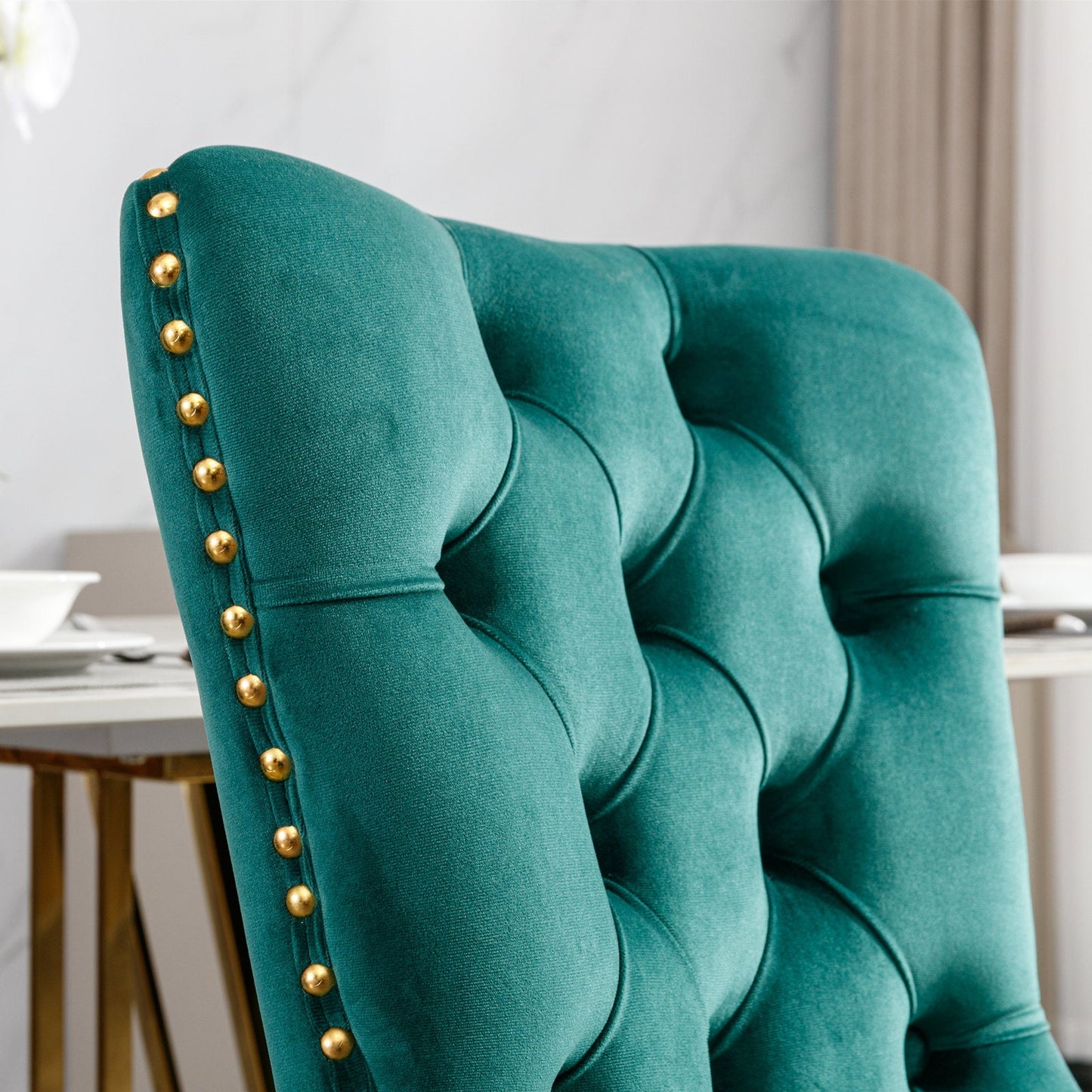 Nikki Collection Modern Velvet Dining Chair Set of 2