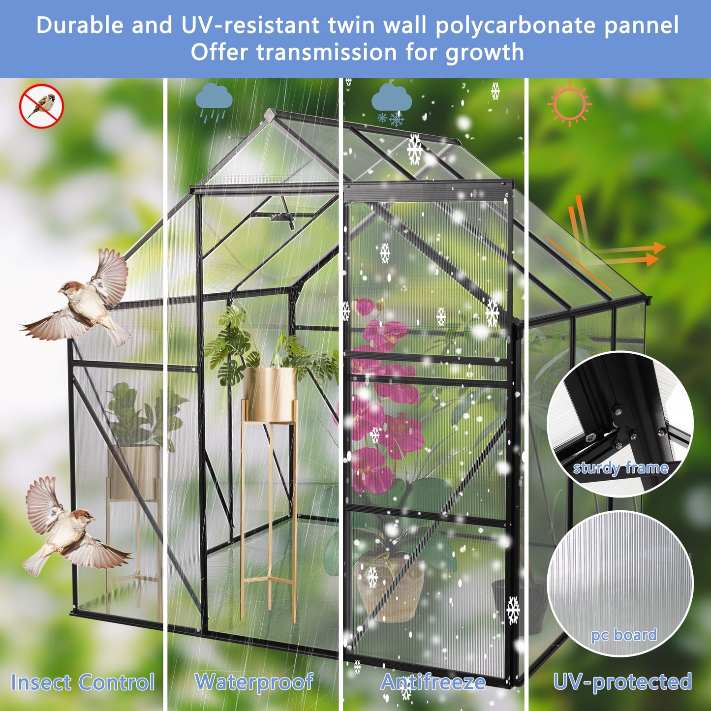 6X6FT Black Polycarbonate Greenhouse