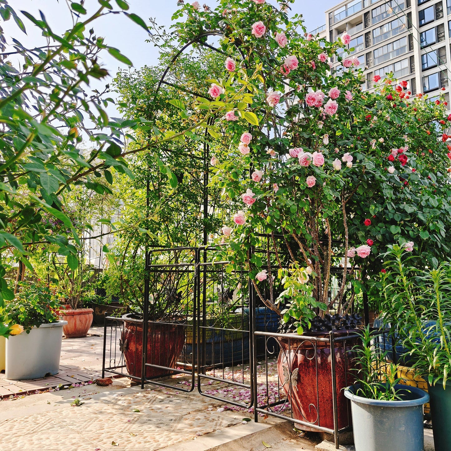 Metal Garden Arch with Gate