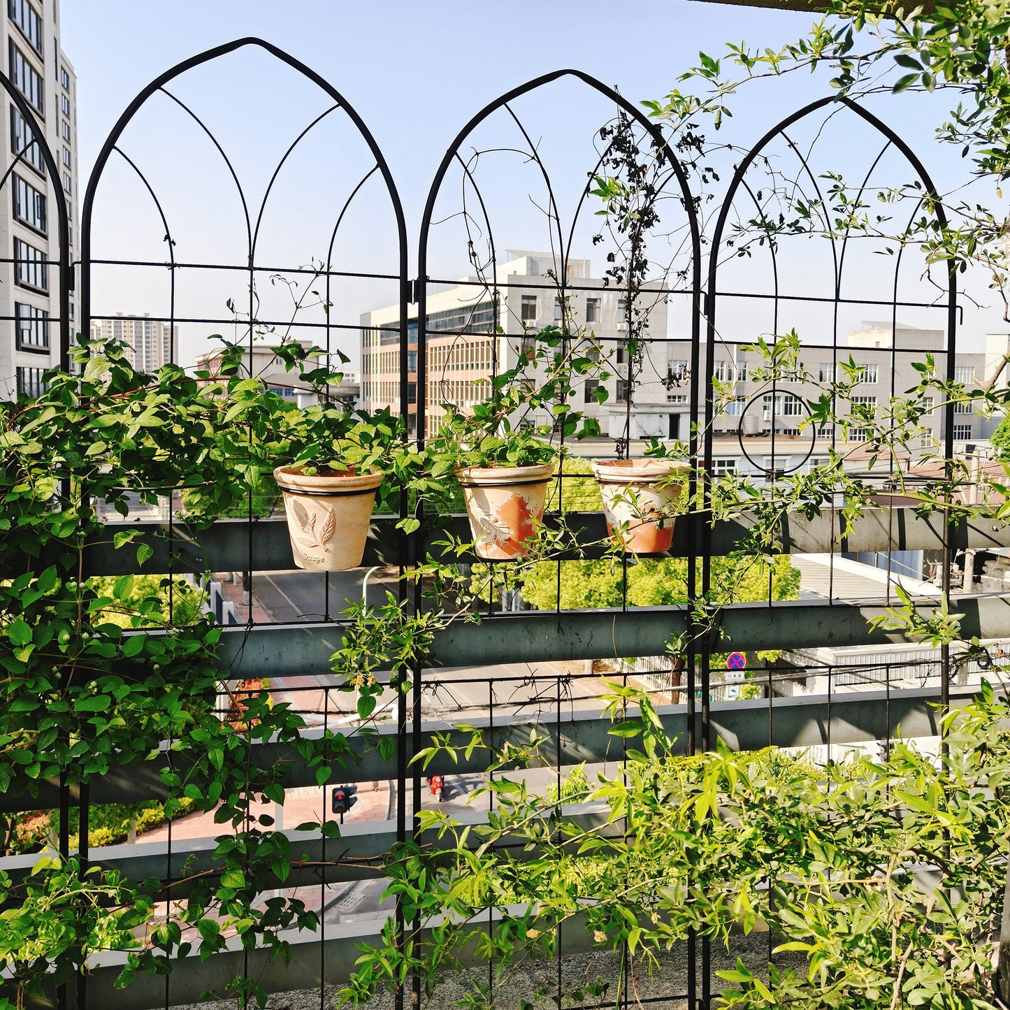 2 Pack Metal Garden Trellis