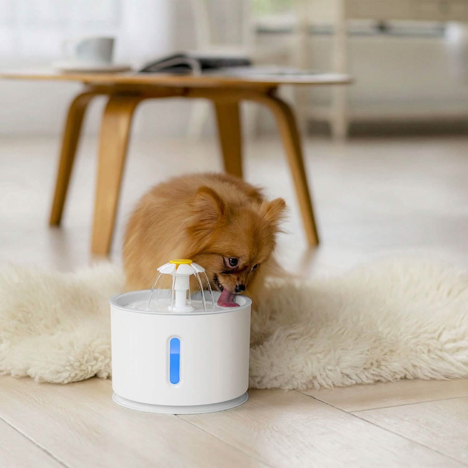 Fontaine à eau automatique pour animaux de compagnie 2,4 L