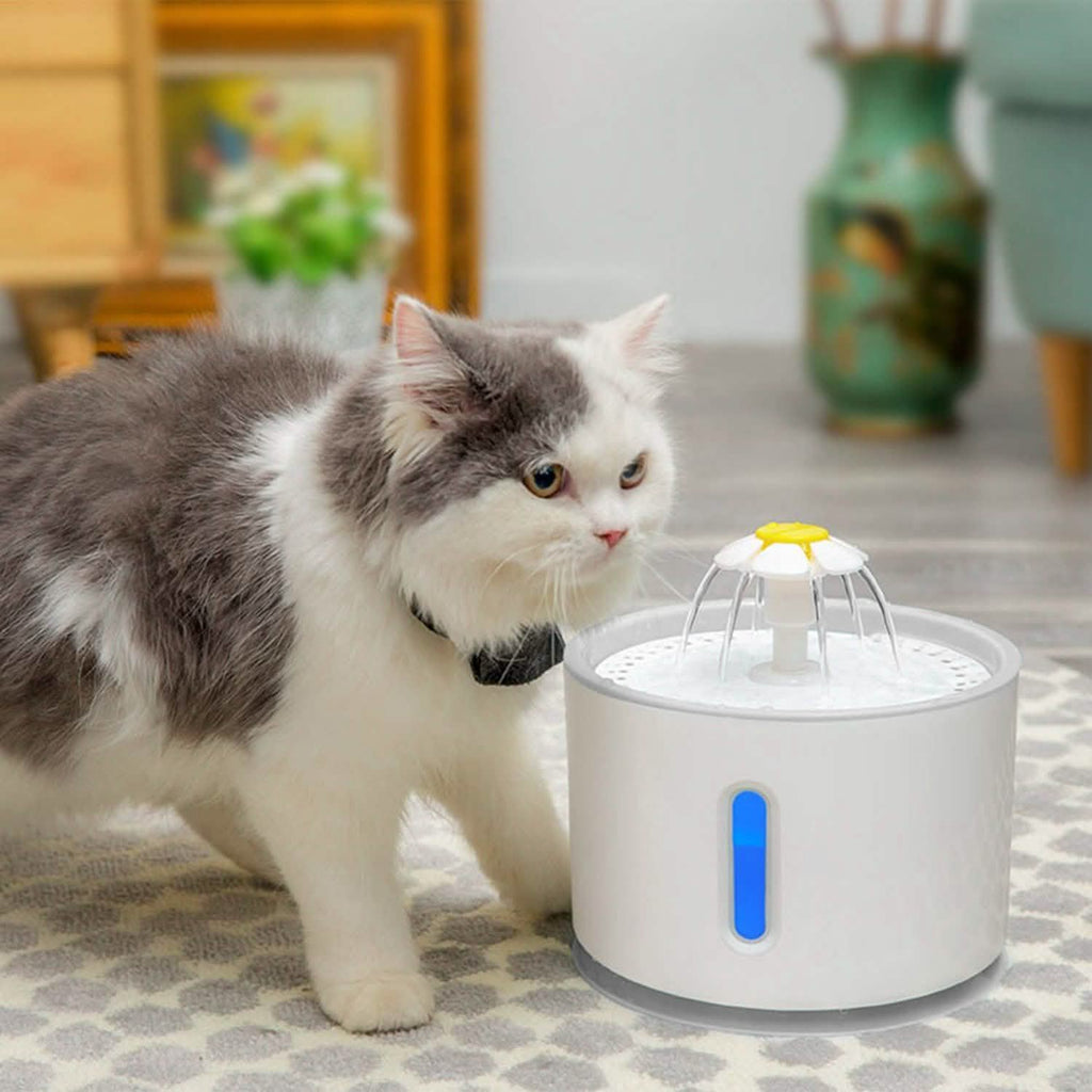 Fontaine à eau automatique pour animaux de compagnie 2,4 L