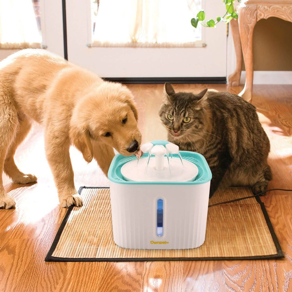 Fontaine à eau silencieuse de 2,5 L pour chat – Distributeur d'eau pour animaux de compagnie