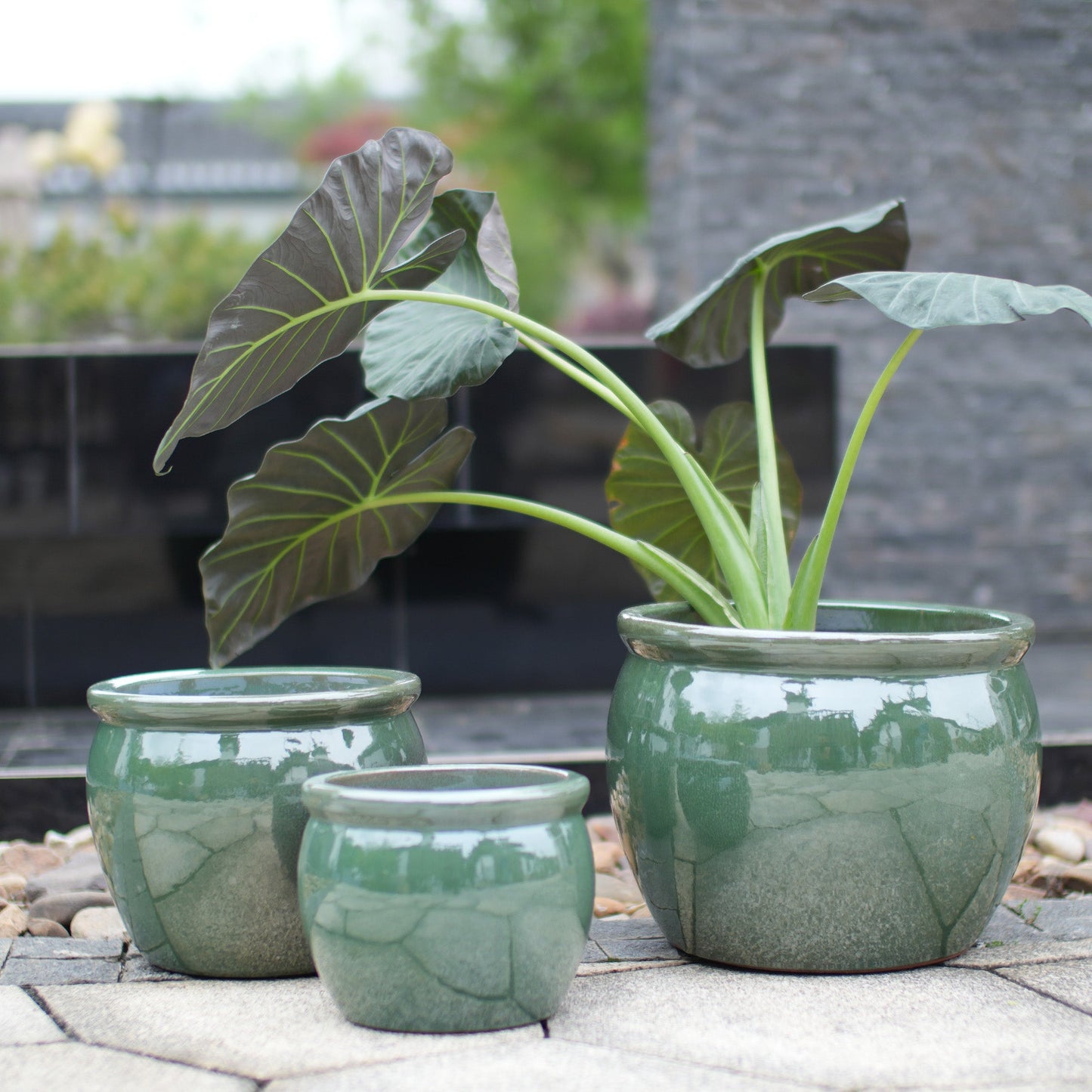 Handmade Dark Garden Pot